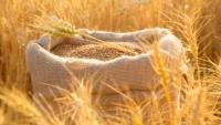 Ukraine ready for gradual integration of agri-sector into EU; time to seek solutions now – Agriculture Minister