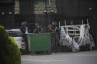 Rising Settler Violence Threatens West Bank Olive Harvest and Palestinian Livelihoods