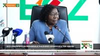 Ecz Media Briefing | Mwangala Zaloumis Addresses the Press