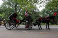 New York City to ban Central Park horse-drawn carriages after fatal tourist accident