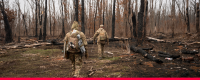 Ukraine: From burnt forests to landmined soil, environmental journalism upended by the Russian war