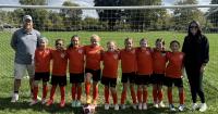 SOCCER STARS