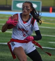 Maine South Upset By Evanston In Sectional Finals