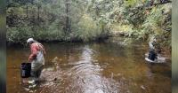 Year after reintroduction, no Arctic grayling seen in Michigan wild, hope remains