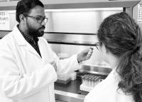 Researchers target hidden groundwater nitrogen