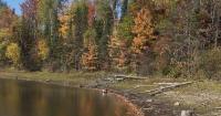 Federal disaster loans available for northern Wisconsin businesses impacted by drought