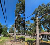 CenterPoint tree trimming sparks debate after Cypress homeowner shares photos