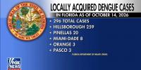 Florida battles largest dengue fever outbreak in decades