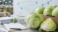 Cyclospora Outbreak Lessons: Food Safety Under Uncertainty