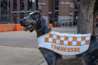 New Jersey man charged with felony after vandalism of Smokey I statue