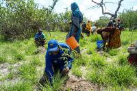 Tanzania targets $41 million in global environment funding