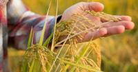 LVV minister warns farmers to stick to rules on pesticides