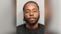 South Carolina dogfighting investigation leads to arrest, 10 dogs rescued
