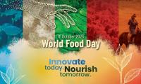 SVG to mark World Food Day 2026 with National Agricultural Exhibition in Kingstown