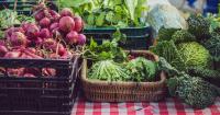 PDHD to hold neighborhood farmers market with emphasis on mental health