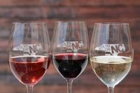 N.C. Wine, Cider and Mead Garden returns  to the N.C. State Fair