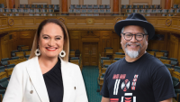 Labour and Greens clash over what's ‘transformative’ for NZ's Pacific voters