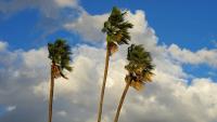 Los Angeles County Officials Urge Residents Prepare for High Winds and Fire