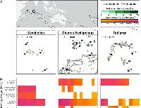 Seabirds and native vegetation drive ecosystem processes that support atoll island resilience