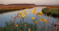 Chesapeake Bay health rebounds to C+ in best grade yet