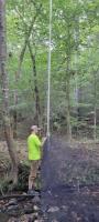 Endangered Bat Species Detected During Blitz