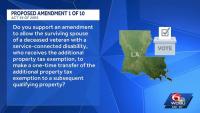 Louisiana constitutional amendments: What you need to know before you vote