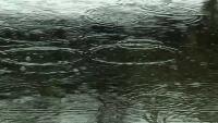 Here's how much rain fell from Tuesday into Wednesday