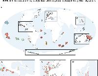 Global conservation additionality hindered by persisting fishing pressure in marine protected areas