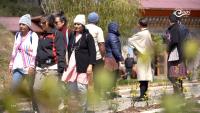 Tourist arrivals up more than 28 per cent in September
