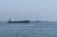 2 Singapore-registered container vessels struck in Hormuz, 1 sinks