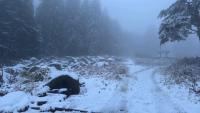 Snow Falls in Bulgaria’s Higher Mountain Areas (see pics)