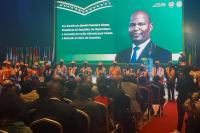 Conference on disaster risk reduction and resilience in Africa opens in Maputo