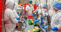 CMI Alimentos Invests $1.3 Million to Modernize Zapotitán Production Center in El Salvador.