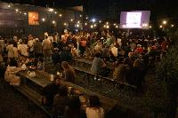 The Future of Cinema Is the Cinema Itself