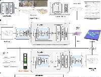 Deep learning reveals ecological decoupling and rate heterogeneity in Hymenoptera wing evolution