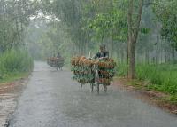 El Niño influences South Asia winter climate outlook