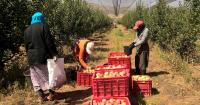 Laos Seeks Higher Age Limits, More Couple Slots for Farm Workers in South Korea