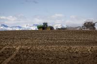 Canadian Farmland Values Have Risen 4 Percent, Reflecting ‘Resilient Demand’ in Markets: Report