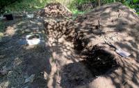 “Harvie’s Dyke” Discovered in Scotland