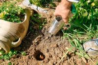 A Los Angeles Renter Says Her Landlord Let an Overgrown Property Turn Her Yard Into a Never-Ending Cleanup Project, Then Years of Complaints Left Her Digging Up Invasive Plants Alone