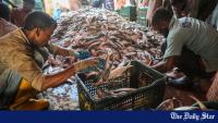 Can government and fishers work together to restore hilsa abundance?