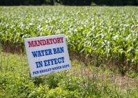 Municipalities consider lifting water bans as drought declaration ends in Connecticut River Valley