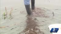 Heavy rains flood Edmond farm, threatening fall harvest