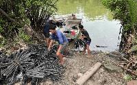 Artificial mangrove roots offer a stopgap for Thailand’s eroding coastline