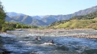 Court overturns environmental approval for Birsu hydroelectric power plant in Bingöl