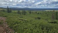 Iron Bear retakes full control of generational Canadian iron ore giant