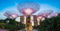 Economy to remain steady on AI orders and capacity expansion