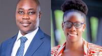 Domestic Capital Africa campaign targets US$600bn pension funds for SME growth