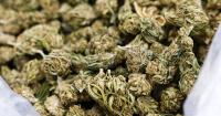 Crowley, Tiffany both want cannabis legislation. It might be too late.