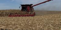 Kansas farmers urge calm after surprise USDA report sends corn prices lower